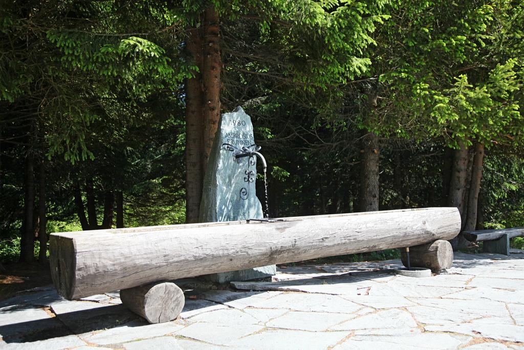 Malixerhof Hotel Екстериор снимка